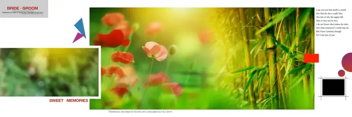 Cinematic Wedding Album Background 12x36 PSD with Brush Strokes