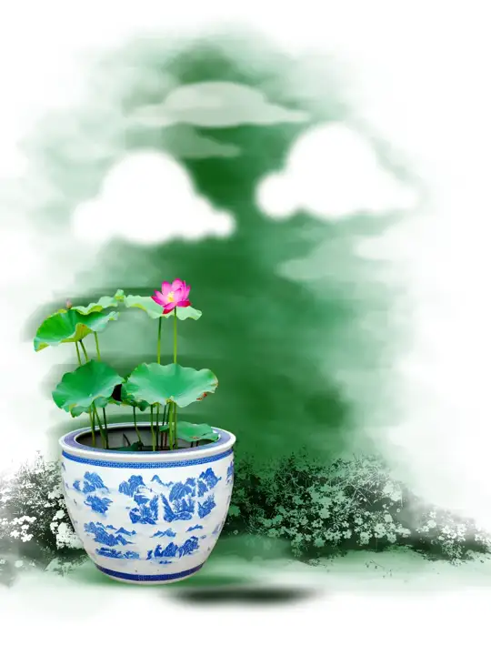 Classic Studio Background 6x8 PSD with Floral Border