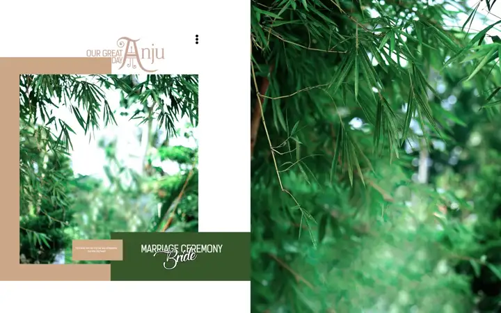 Dreamy Album Background PSD – Gold Frame
