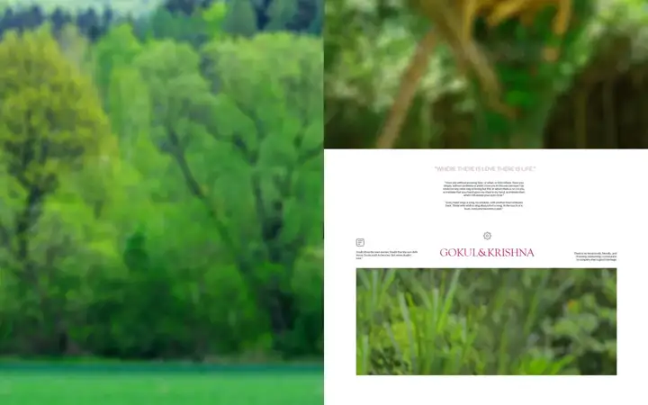 Dreamy Album Cover PSD – Gold Frame