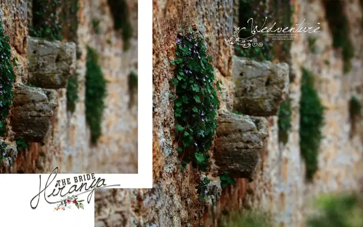 Floral Vintage Frame Album Background PSD