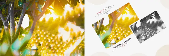 Free Stylish Wedding Album Background 12x36 PSD – Pastel Clouds