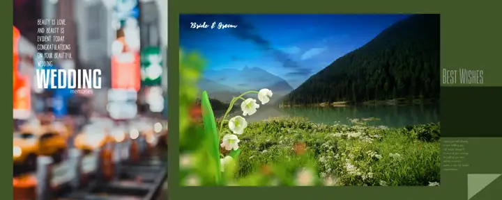 Fresh Karizma Album Background 12x30 PSD with Rose Petals