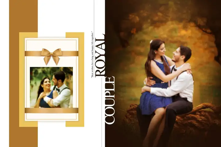 Grand Indian Wedding Album Cover 16x24 PSD with Peacock Art