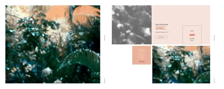 Karizma Album Background 12x30 PSD – Vibrant Peacock Art Design