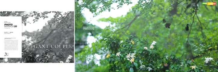 Soft Pastel Album Background PSD for Pre-Wedding – Lotus Design