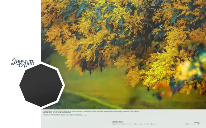 Stylish Silk Texture Album Cover PSD