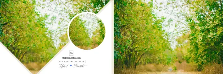 Wedding Album Background 12x36 PSD – Graceful Lotus Design